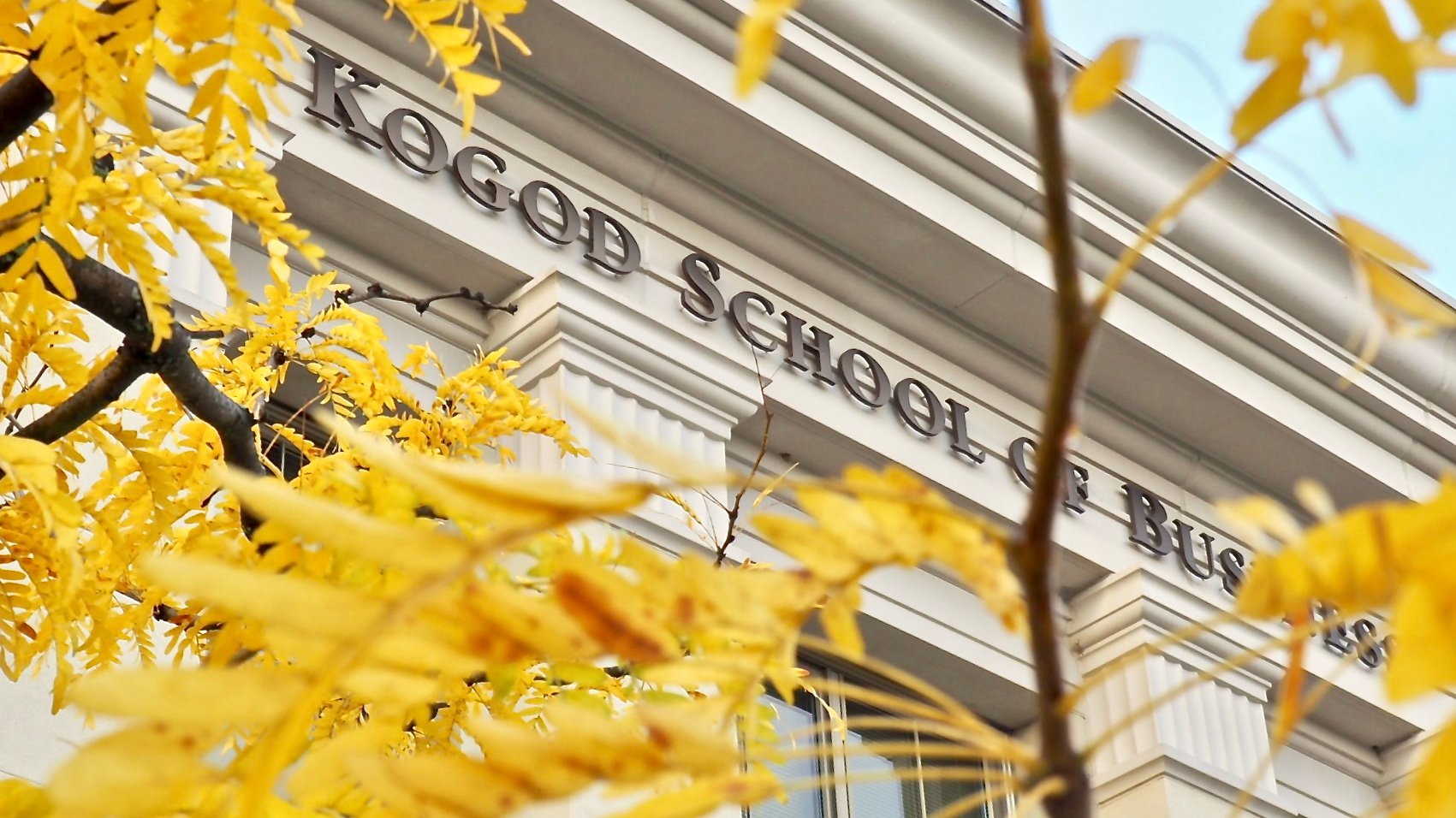 Kogod in the Fall